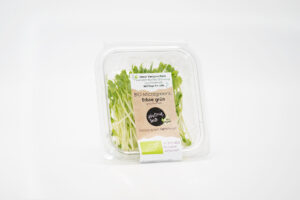 BIO Microgreens Erbse grün – geschnitten – 15g