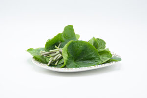 Wasabi fresh – Wasabi-Blätter & Stängel – 50g